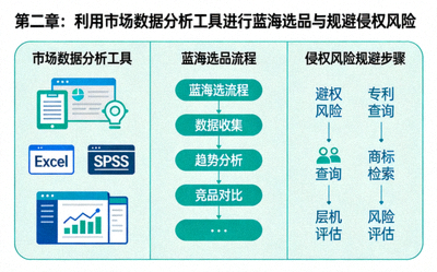 第二章：利用市场数据分析工具进行蓝海选品与规避侵权风险的示意图